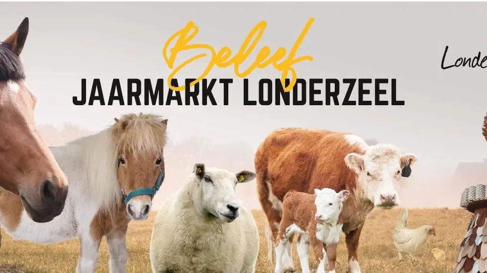 Jaarmarkt Londerzeel centrum